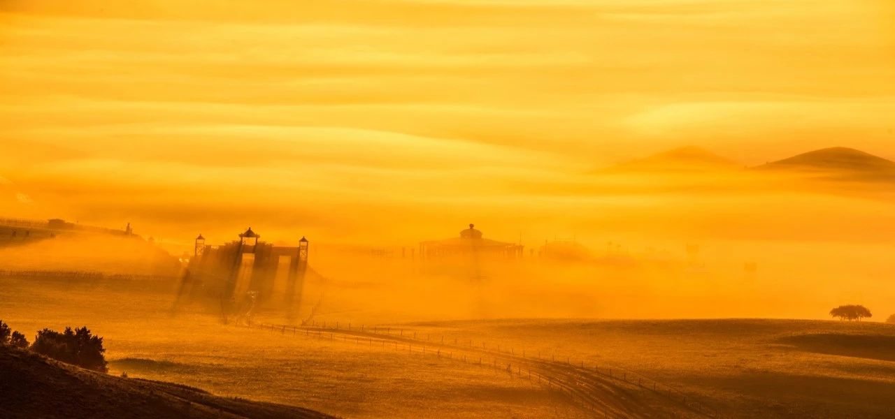 诗词｜岁月不饶人，我亦未曾饶过岁月