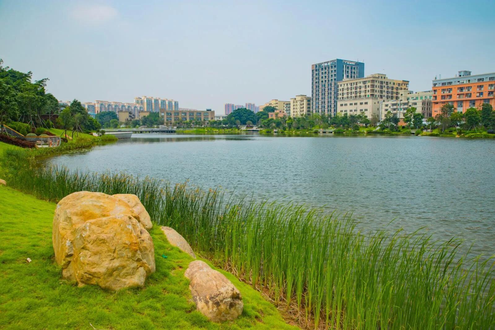 不容错过，深圳各有特色免费的十大主题公园