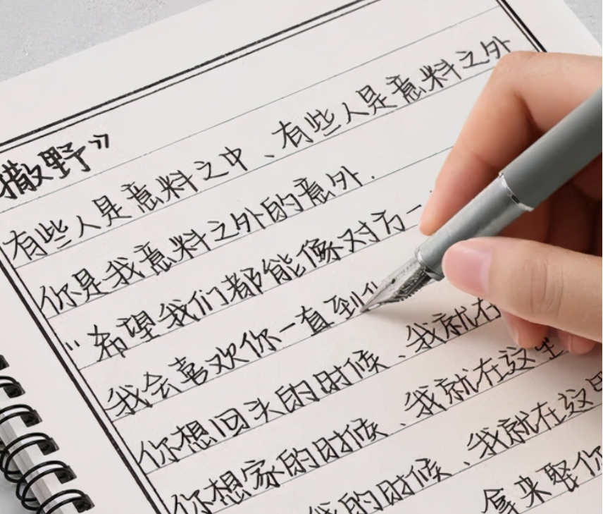 刺猬怎么写（初中生发明）