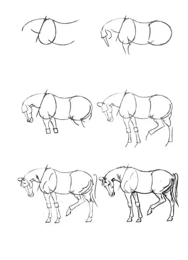 你想学画马吗？分享一些马的简笔画教程，提笔就能画