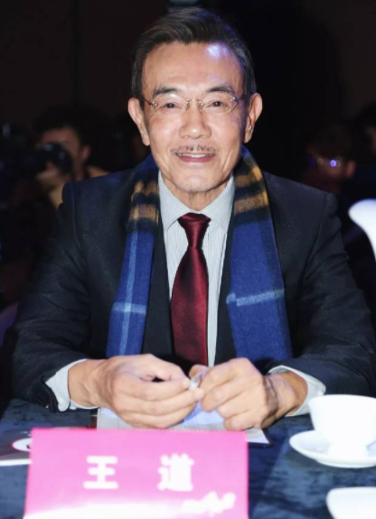 南拳小子王道:没能成为"李小龙二号",一身功夫跑去偶像剧绿叶