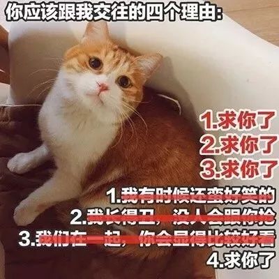 直男专用撩妹表情包