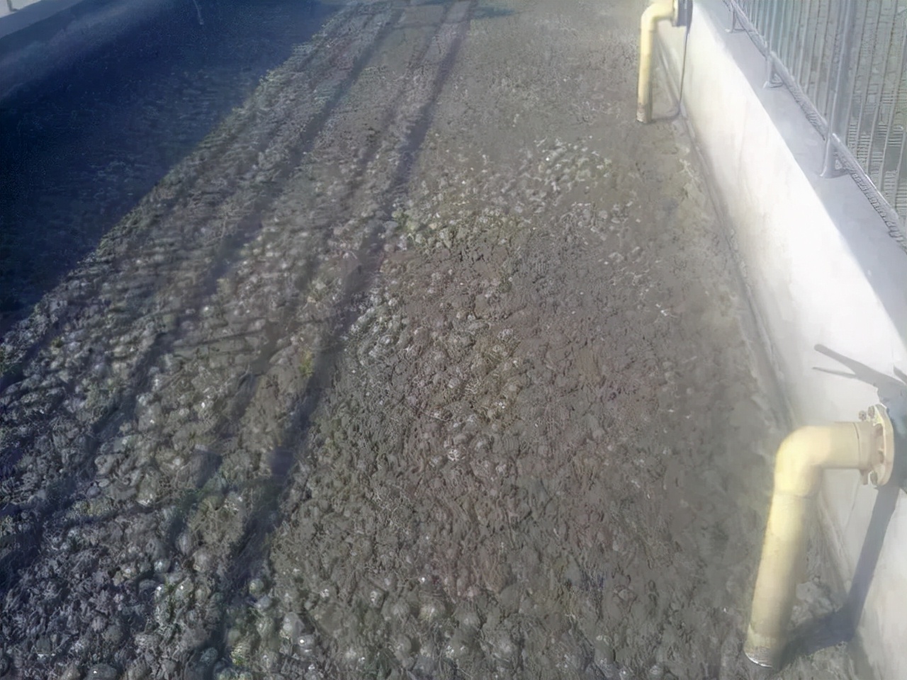 ����ж������������ϻ��������ϻ���������󣬽���취��