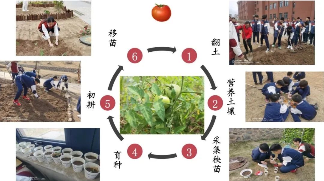 京郊这所学校，真真了不得