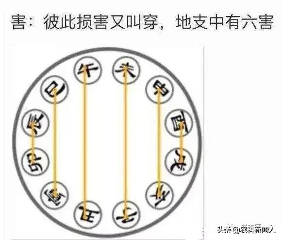 总结最全面、最精炼的天干地支五行相生相克运用法则