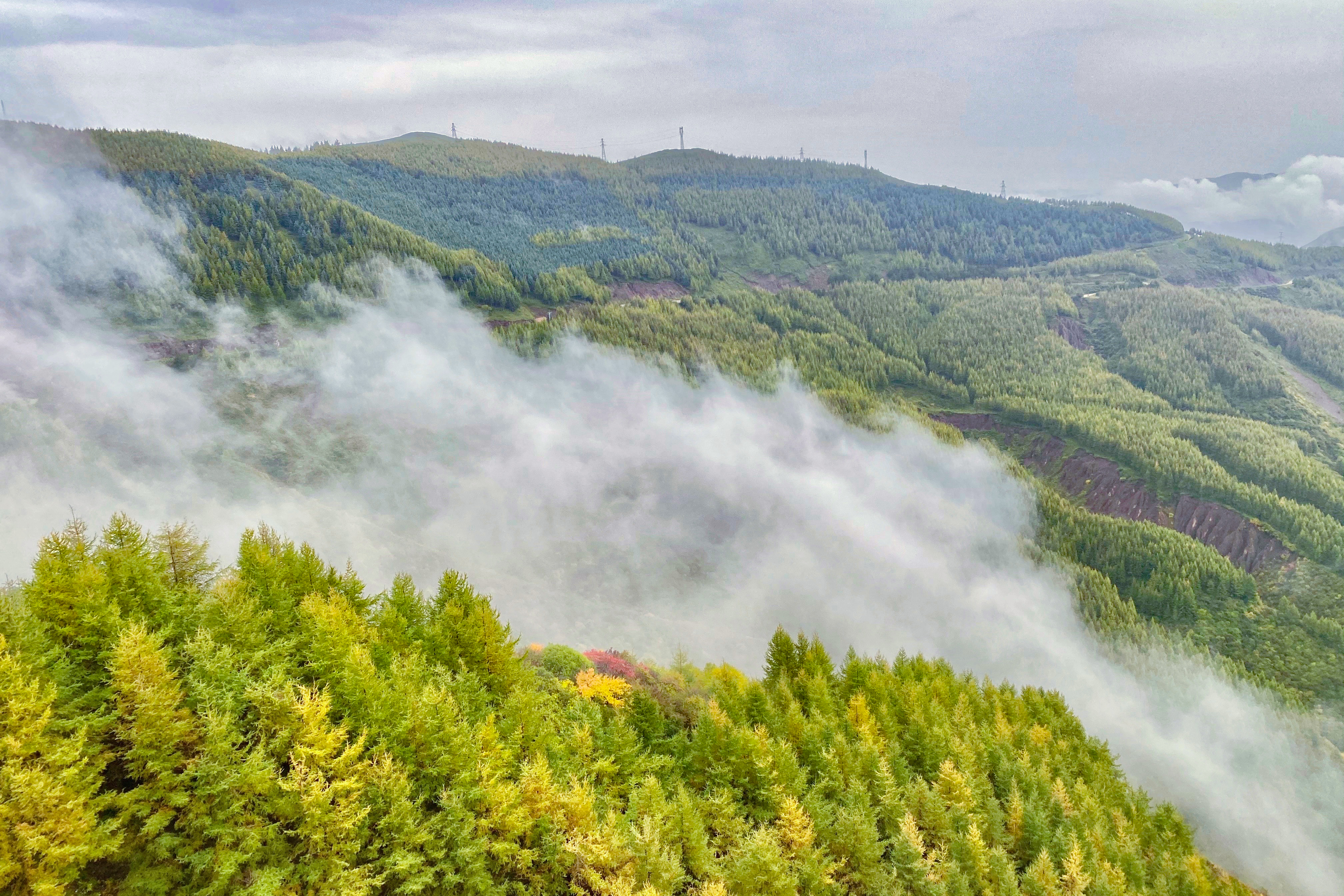 学校运动会，争的是一份快乐