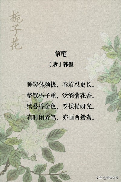 古诗词中的栀子花：在荫浓夏日之中，感受一份花之幽香！