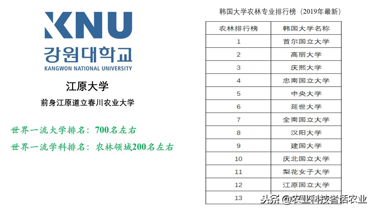 中国农大，荷兰农大，美国农大，日本农大，谁是世界第一农大