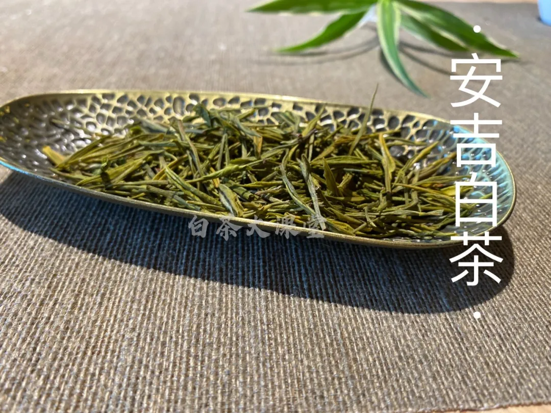 绿茶是什么茶（五个角度手把手教你读懂绿茶）