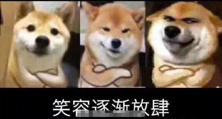 柴犬贱贱表情包18张