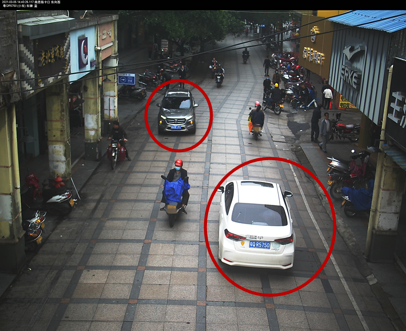 交通违法曝光！