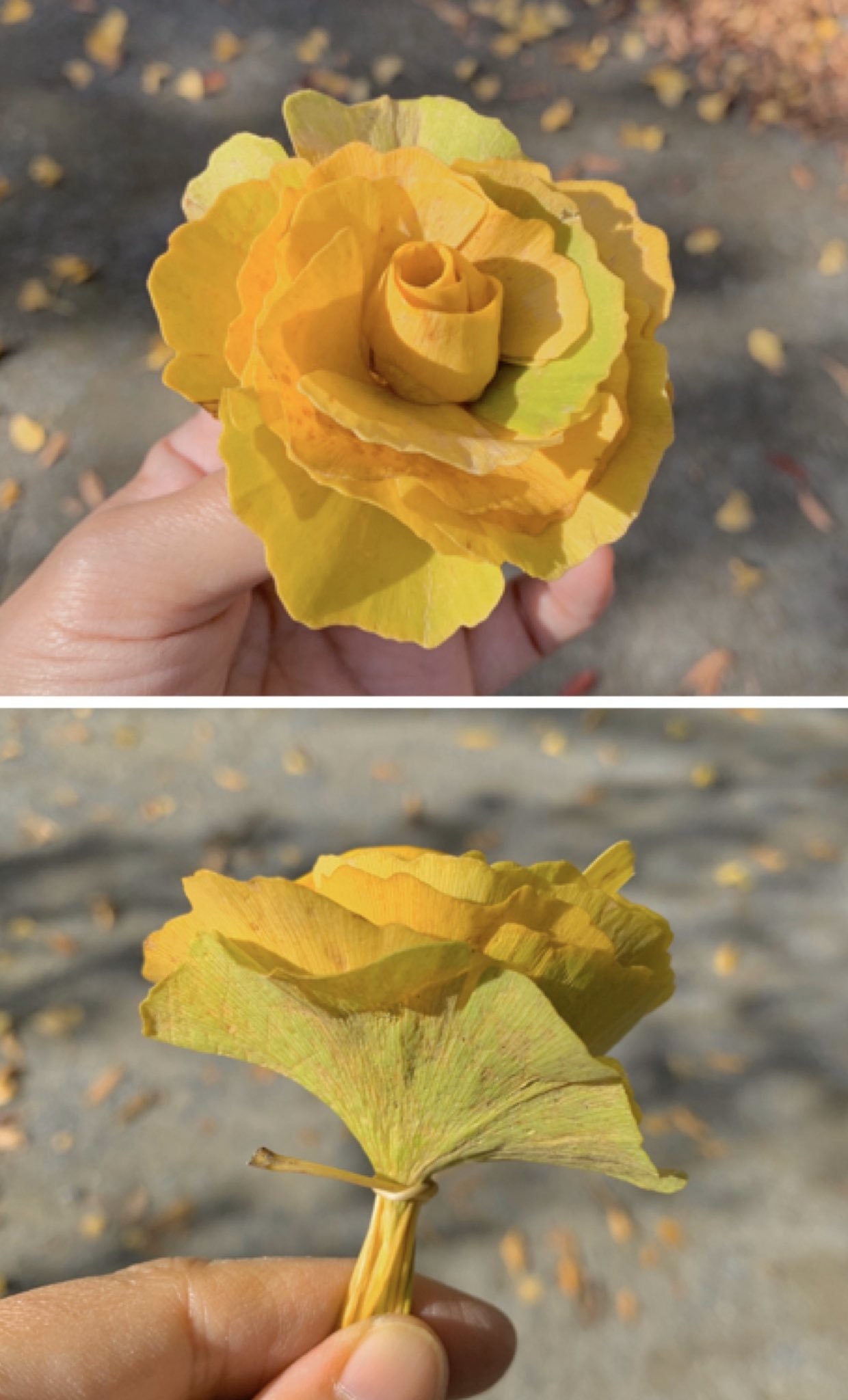 树叶手工作品(6款创意教程教你用双手变出艺术品)