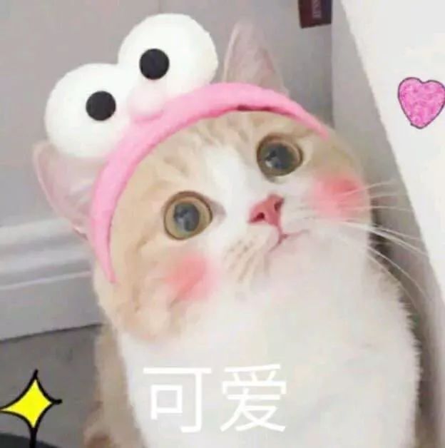 首先你要知道演员简历怎么做(怎么制作演员简历)