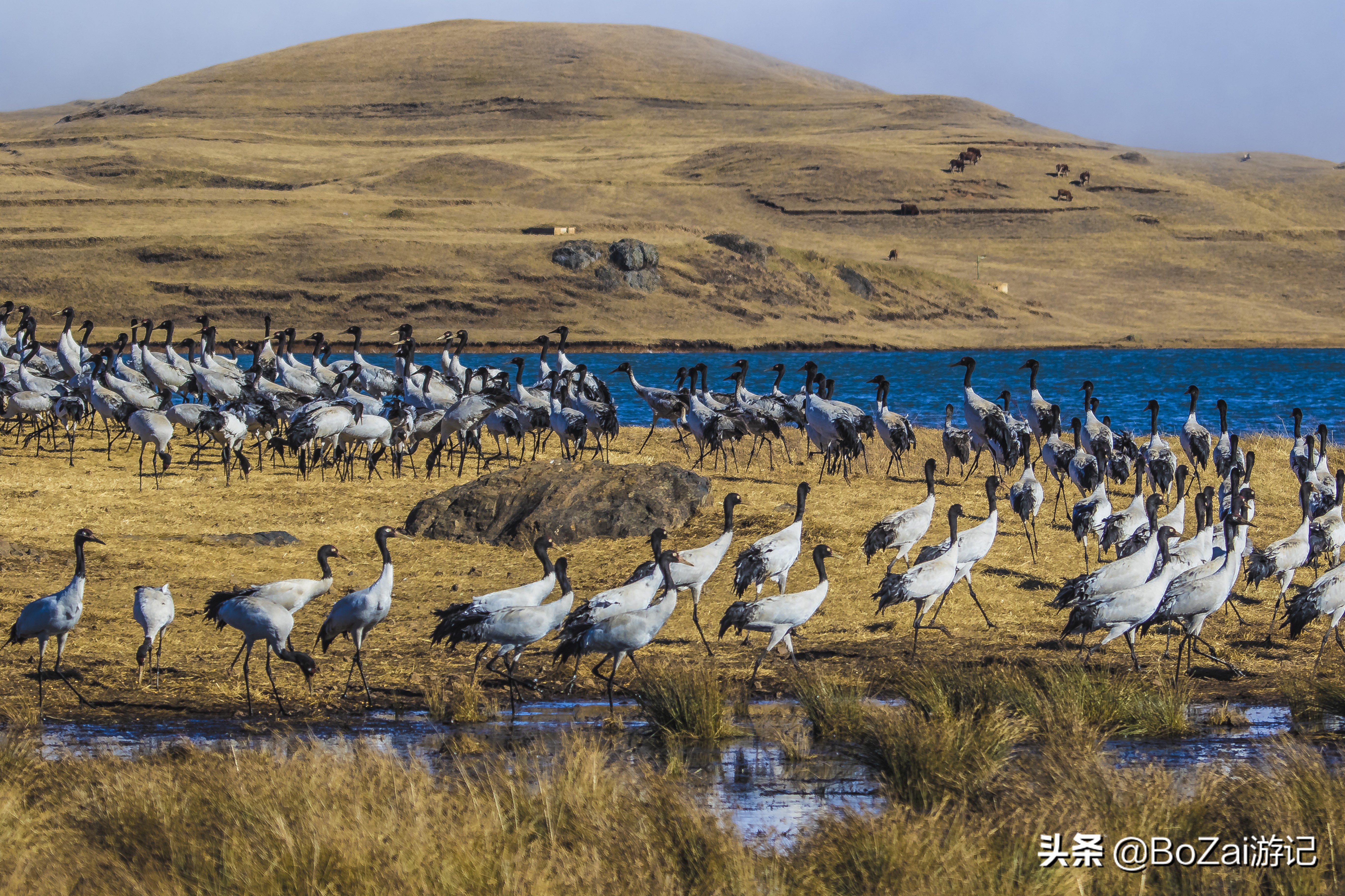 江永旅游必去的十大景点，你去过几个？