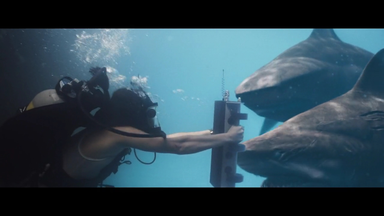 《深海狂鲨3》：大白鲨被牛鲨虐杀，又来一部值得一看的鲨鱼电影