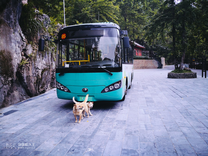 小七孔景区很大,观光车的票还是很有必要买的.