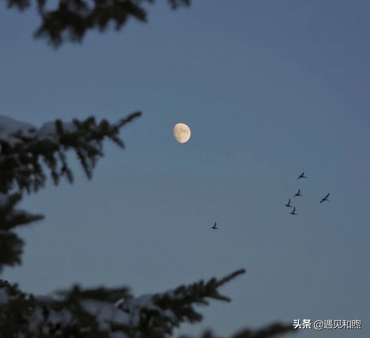 男人想要抓住女人的心，不用天天讨好，做好“三个心”就够了