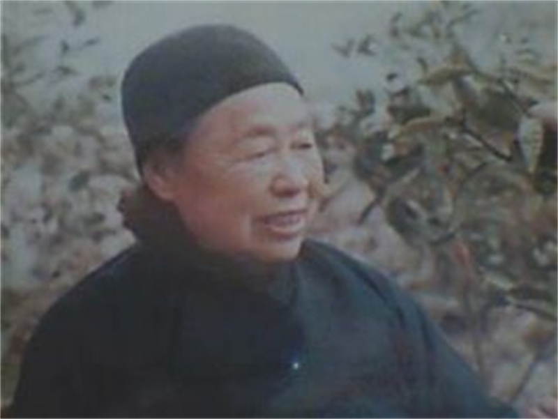 陈毅逝世16年后，74岁农妇来到北京：我是陈毅54年未见面的妻子