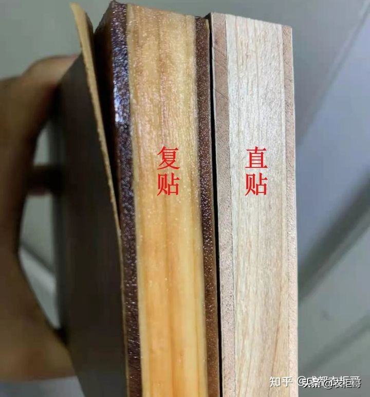 香杉是什么东西（四点原因不建议用香杉木做衣柜）