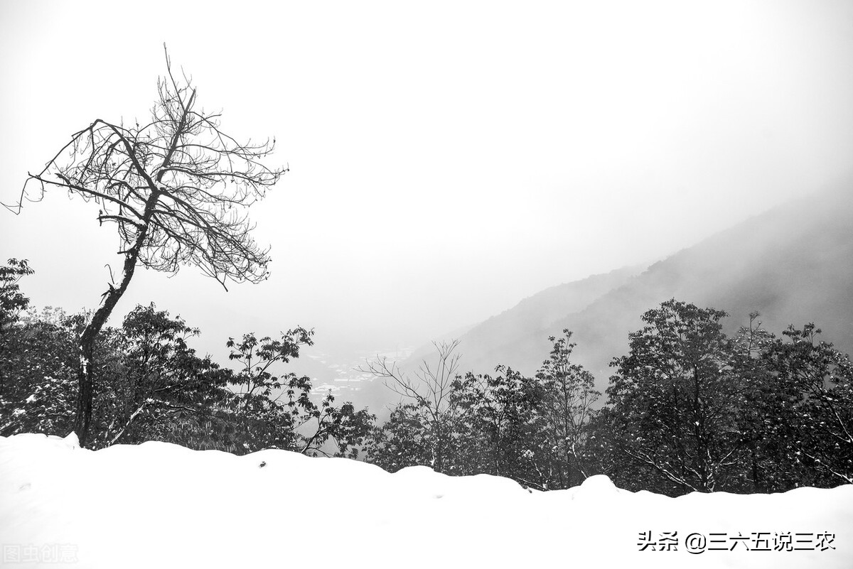 下雪天打雷(罕见：下雪又打雷，俗语“雷打雪，人啃铁”啥意思？有什么预兆？)