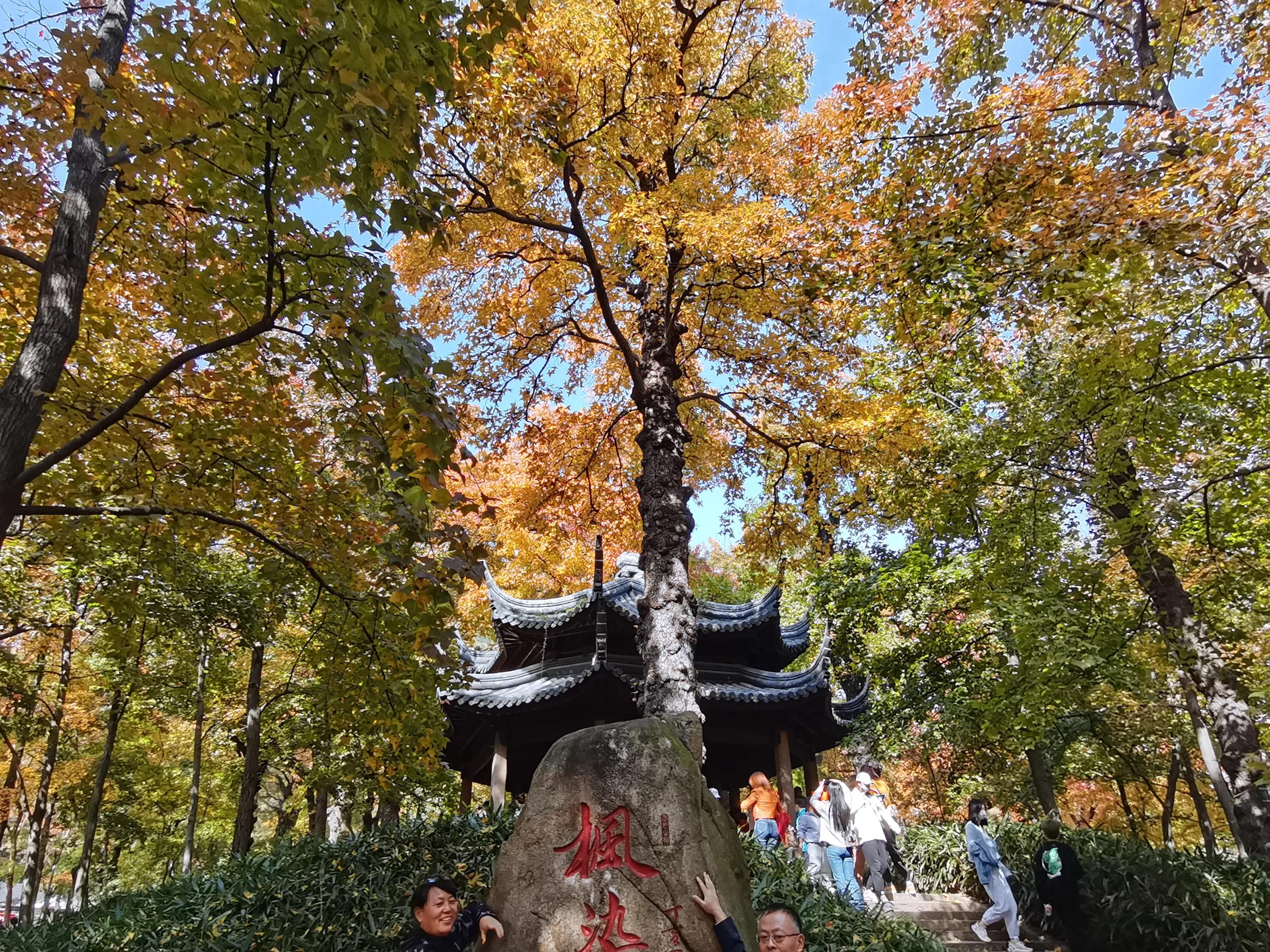 天平山下枫叶红---也说范仲淹在苏州的历史地位