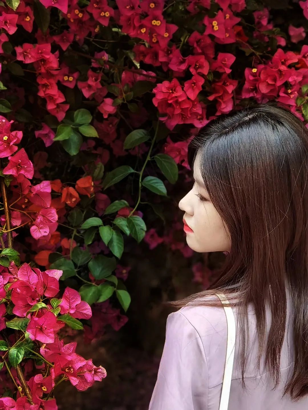 马住！继蓝花楹之后，昆明又添一网红打卡点