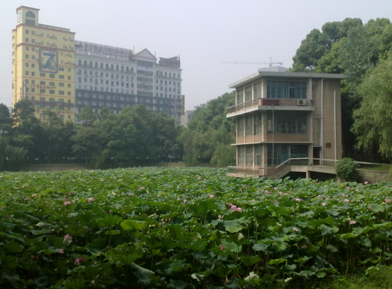 河南也有“锦鲤考生”，524分捡漏华中科技大学，专业居然也不错