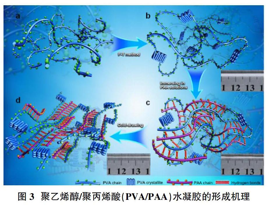 华科与香港中文大学合作，有望突破水凝胶信息存储瓶颈