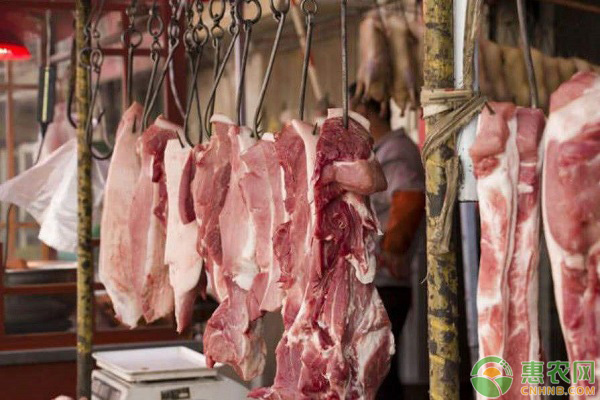 今日猪肉价格多少钱一斤？附12月30日猪价行情介绍