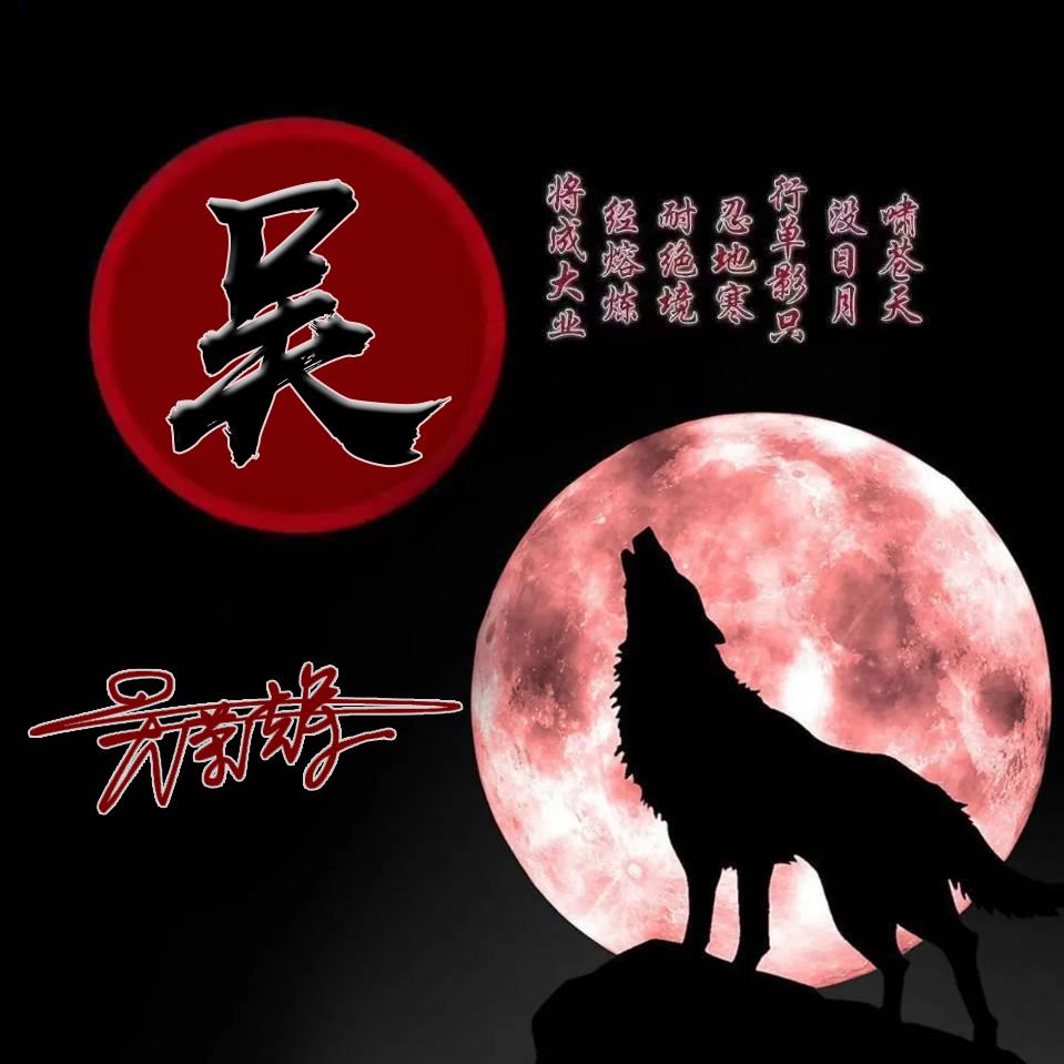 狼头像图片(一组励志血性狼姓氏头像)