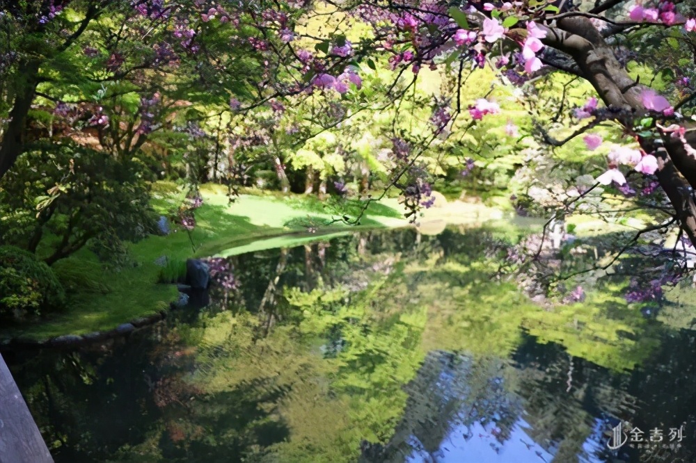 去温哥华读书，你一定要考虑最美丽的UBC