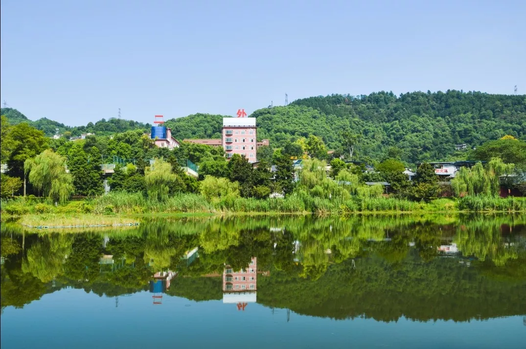 一年学费要3万？重庆二外学费这么贵还值得报考吗？