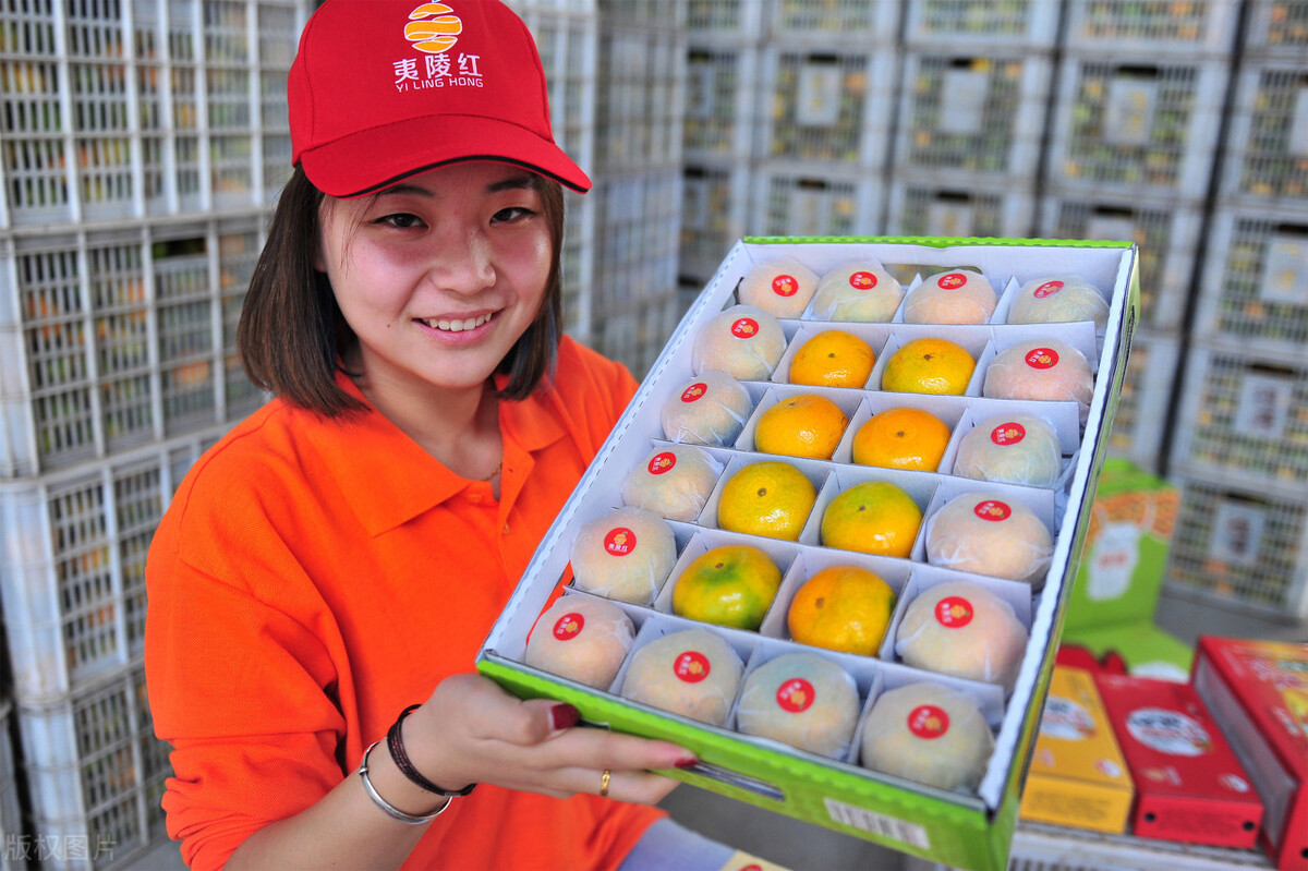 教培行业退潮，为啥新东方能全身而退？有的机构却玩赖皮呢？