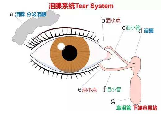 婴儿下面流白带怎么办（宝宝的眼睛分泌物擦了又有）