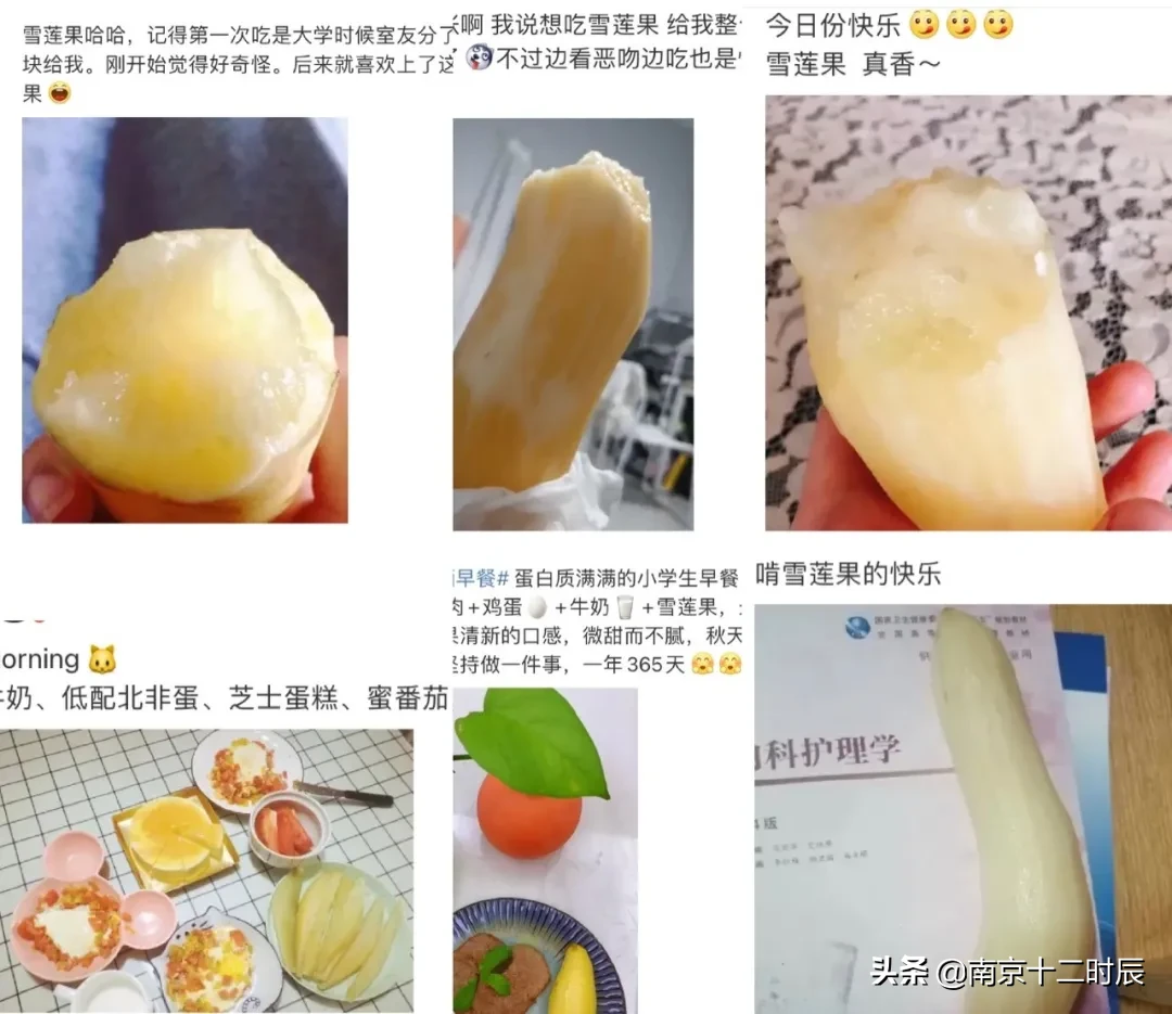 雪莲果哪儿产的最好吃（揭秘脆甜多汁的雪莲果原产地）