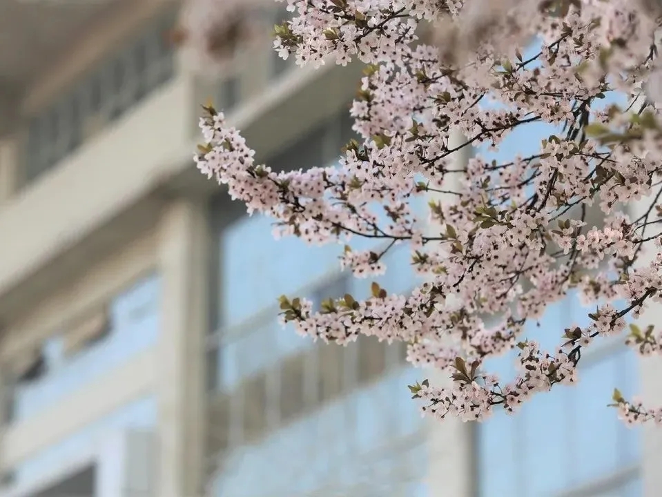 6个专业通过工程教育认证！陕西这所高校跻身“全国百强”