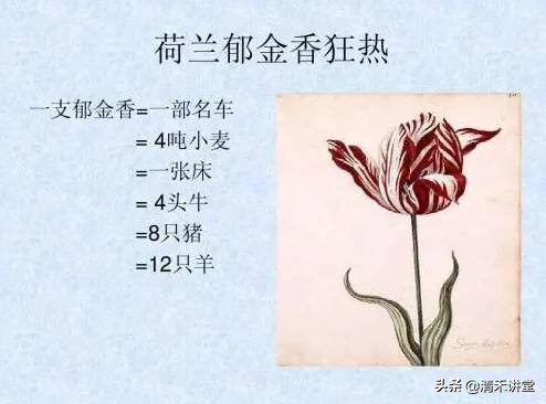 17世纪荷兰泡沫事件始末，千百万人因此倾家荡产