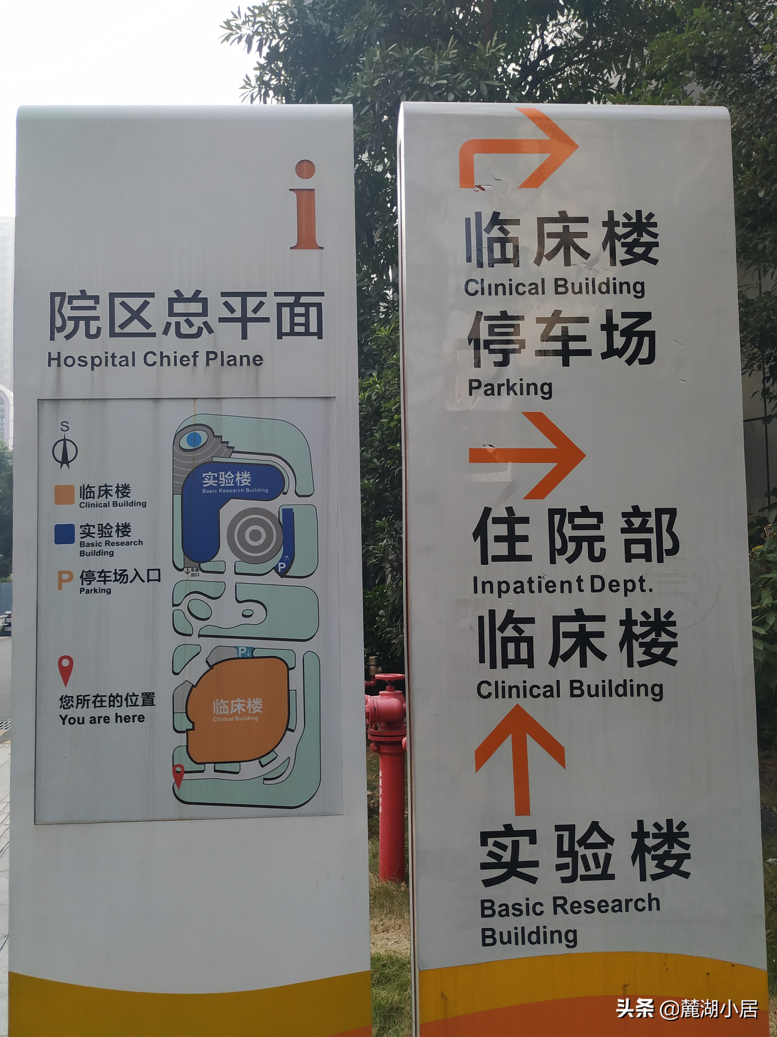 广州中山大学中山眼科中心（珠江新城院区）看病记（含停车攻略）