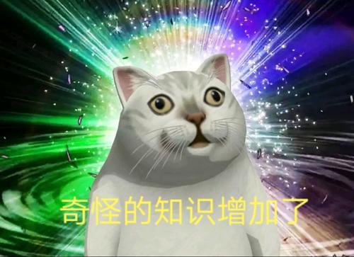 憨憨猫表情包合集｜奇怪的知识增加了