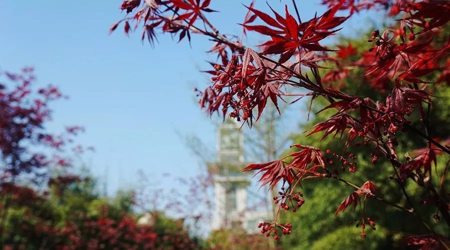 上干货！中南财经政法大学实力如何？5大重量级榜单给出答案!