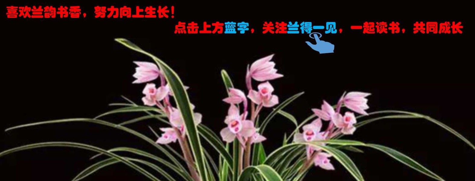 从《好的孤独》领略复旦名师陈果风采，我用180天悟出一个道理