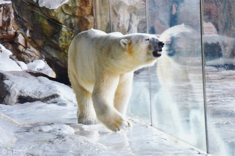 三天三夜欢乐长隆之旅（附攻略）
