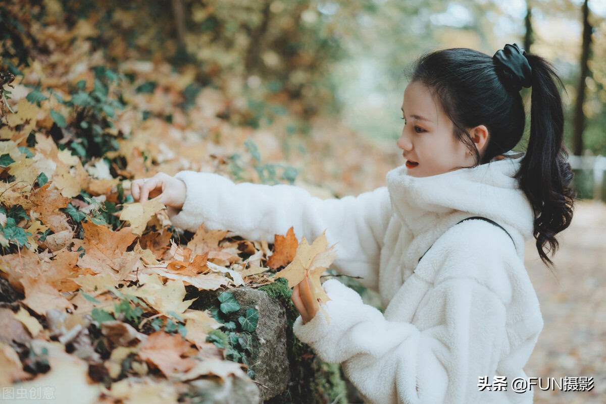 学会这9个拍深秋落叶的手机摄影技巧，让照片更具故事与情感