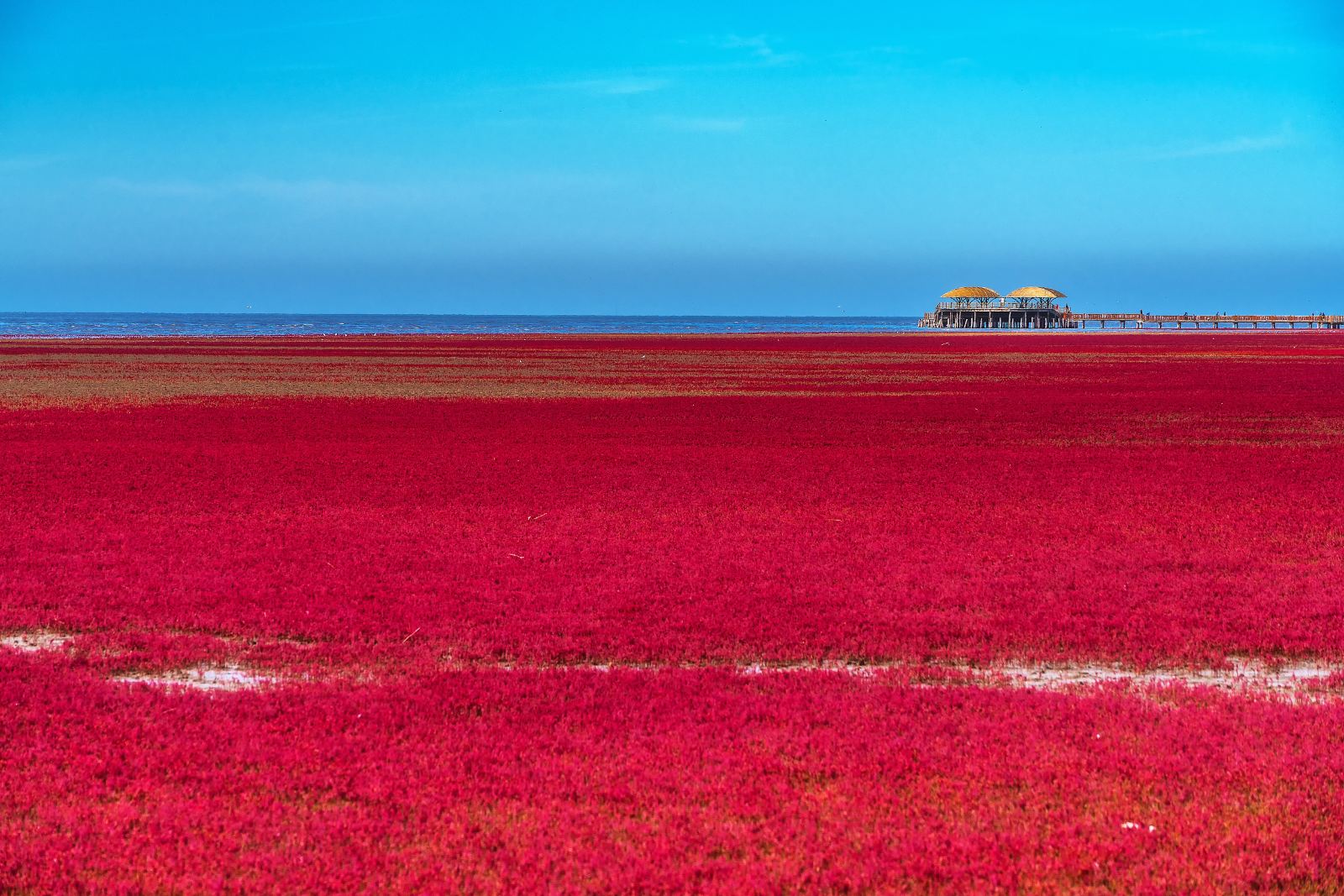 盘锦不花钱的旅游景点图片