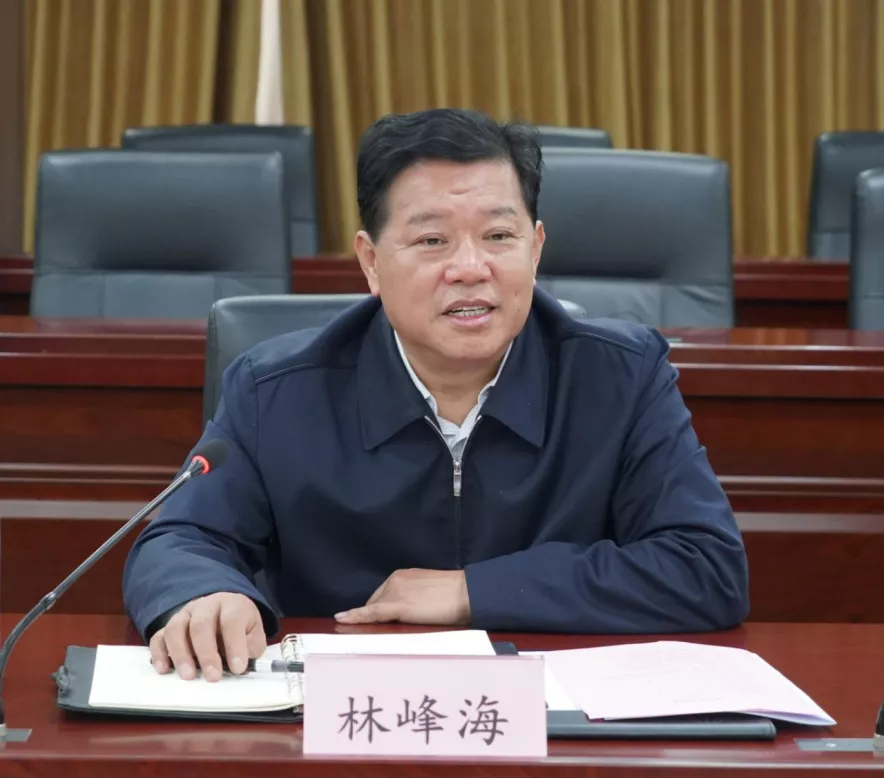 林峰海调研律师行业党建工作