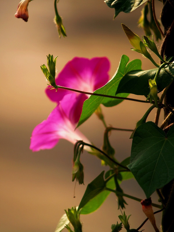 跟着高考状元学五步学习法，再也不用操心孩子的学习