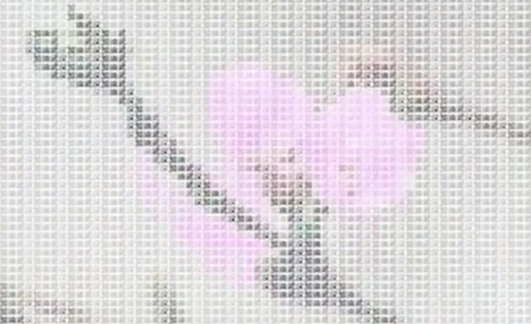 武大学生代码敲出樱花开放——武大计算机专业