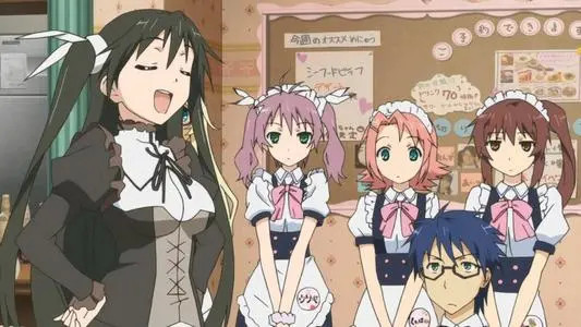 后宫动漫入坑指南