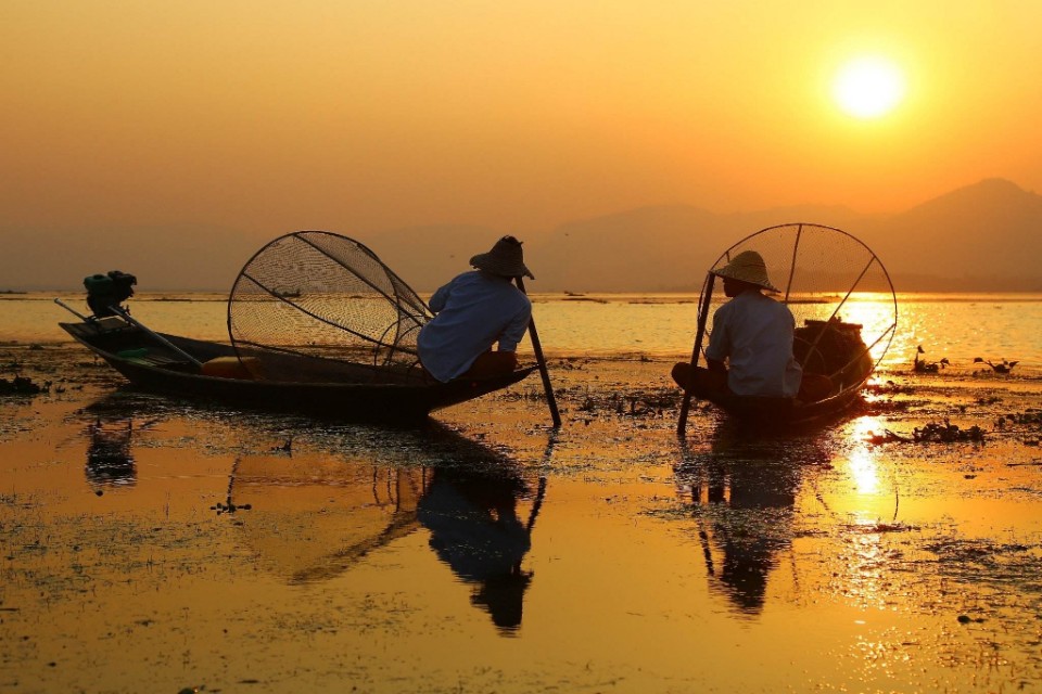 每个人都有诗和远方，那养花人的诗和远方又是什么呢？