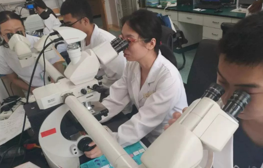 辽宁这所大学只是“普本”，但录取分数不低，毕业生就业前景优越